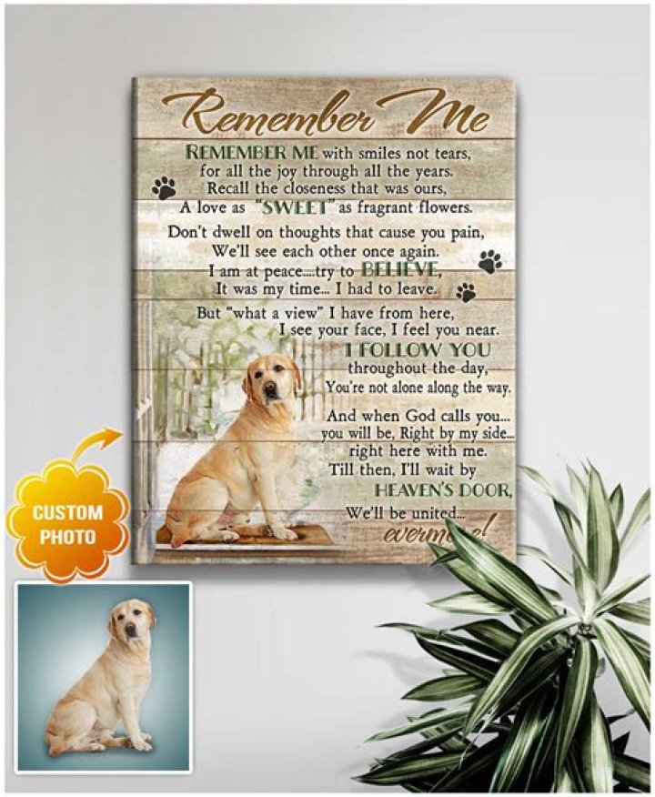 How long will a dog remember another dog?