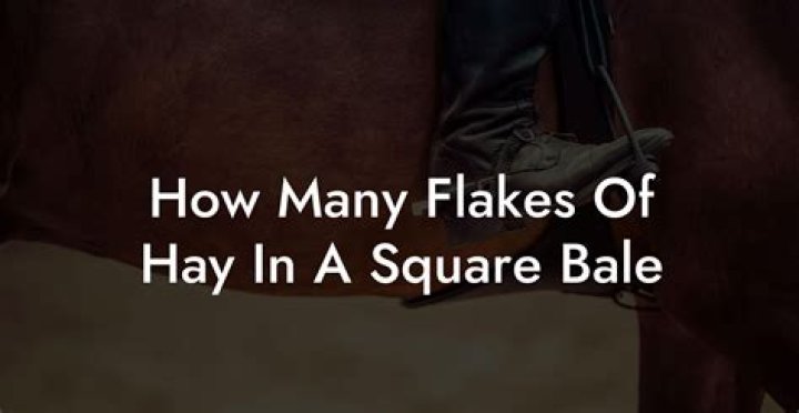 How many flakes a day should a horse get?
