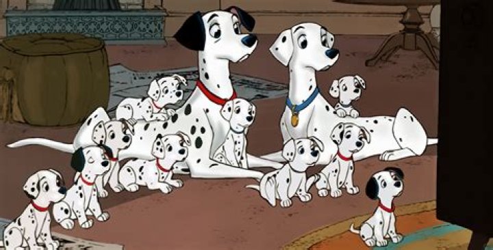 How many real puppies were used in 101 Dalmatians?