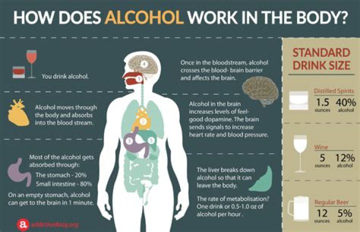 How much alcohol does it take to destroy your liver?