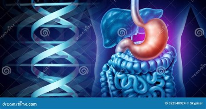 Is a flat stomach genetic?