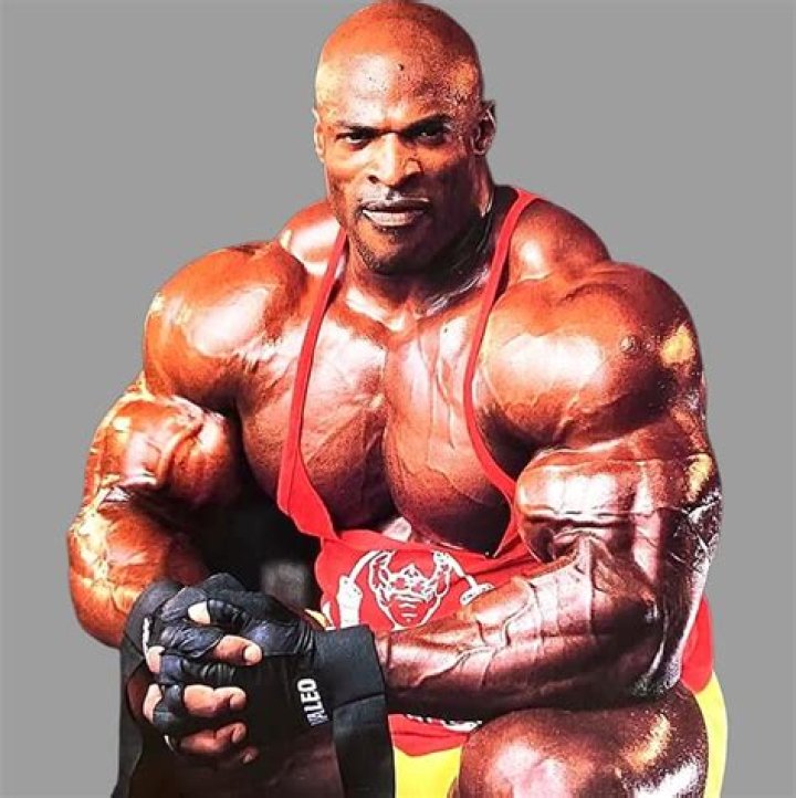 Is back the most important muscle?