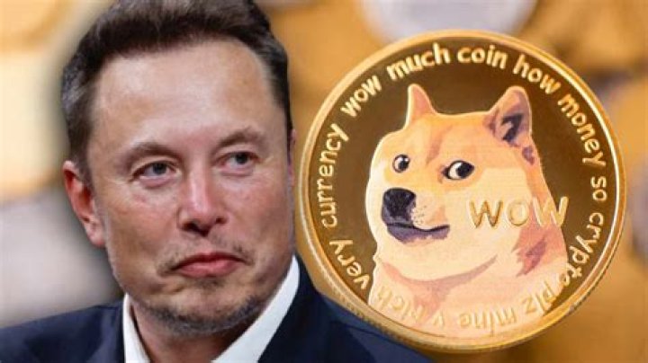 Is Elon Musk investing in Dogecoin?