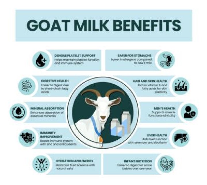 Is goat milk good for diabetics?