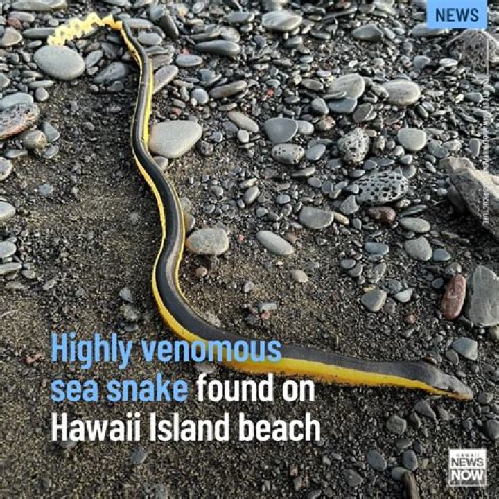 Is Hawaii still snake free?