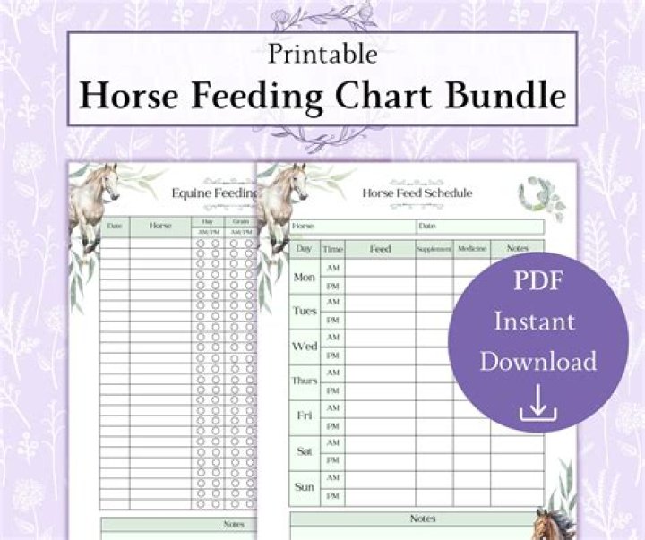 Is it OK to feed a horse once a day?