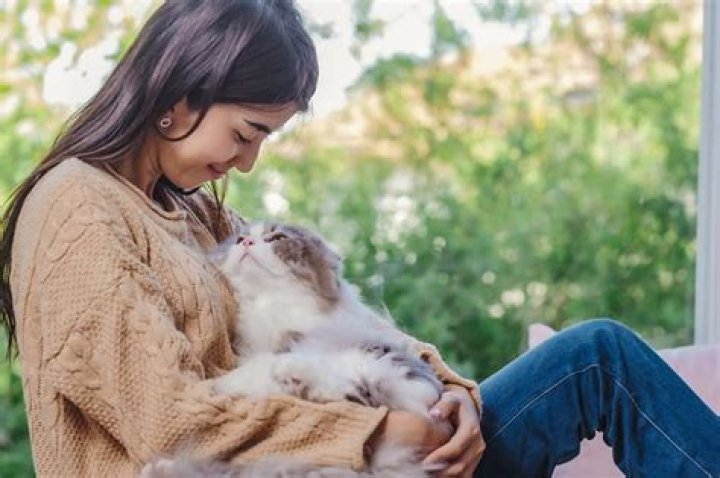 Is it OK to hand feed your dog?
