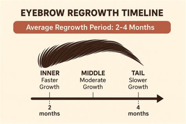 Is it possible to grow more eyebrow hair?
