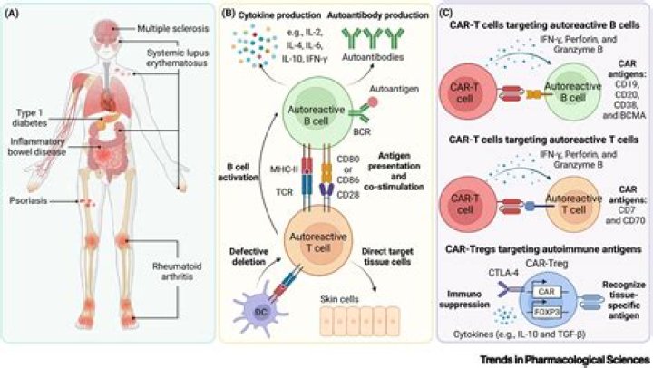 Is MS autoimmune or neurological?