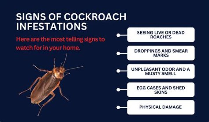 Is my house dirty if I have cockroaches?