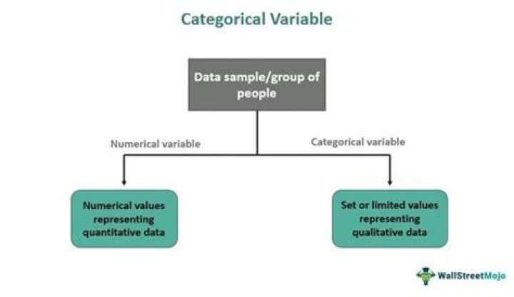 Is name a categorical variable?