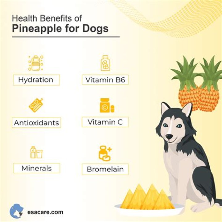 Is pineapple good for dogs?
