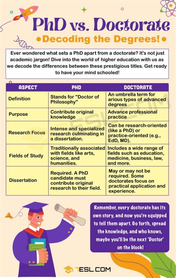 Is professor higher than PhD?