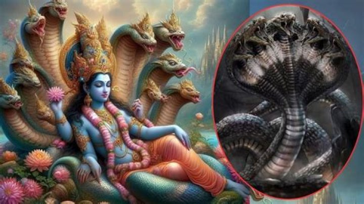 Is sheshnag still alive?