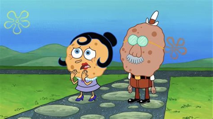 Is SpongeBob's mom a cookie or a sponge?