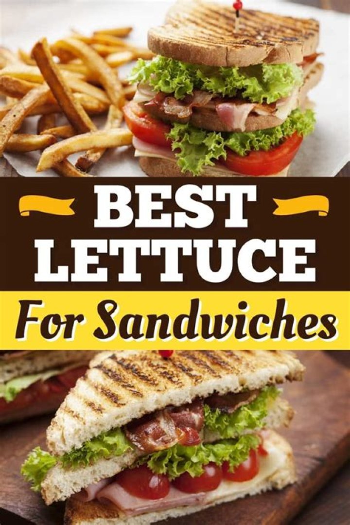 What's the best lettuce for sandwiches?