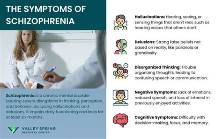 What are 4 symptoms of schizophrenia?