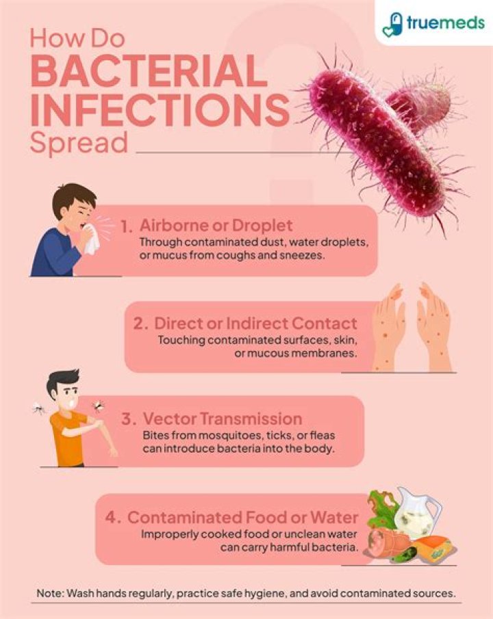 What are symptoms of bacterial infection in stomach?