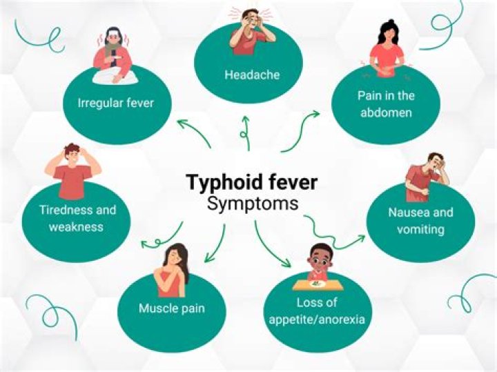 What are symptoms of typhoid in adults?