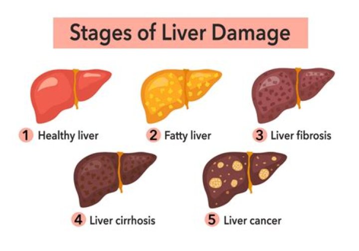 What are the first signs of liver and kidney disease?