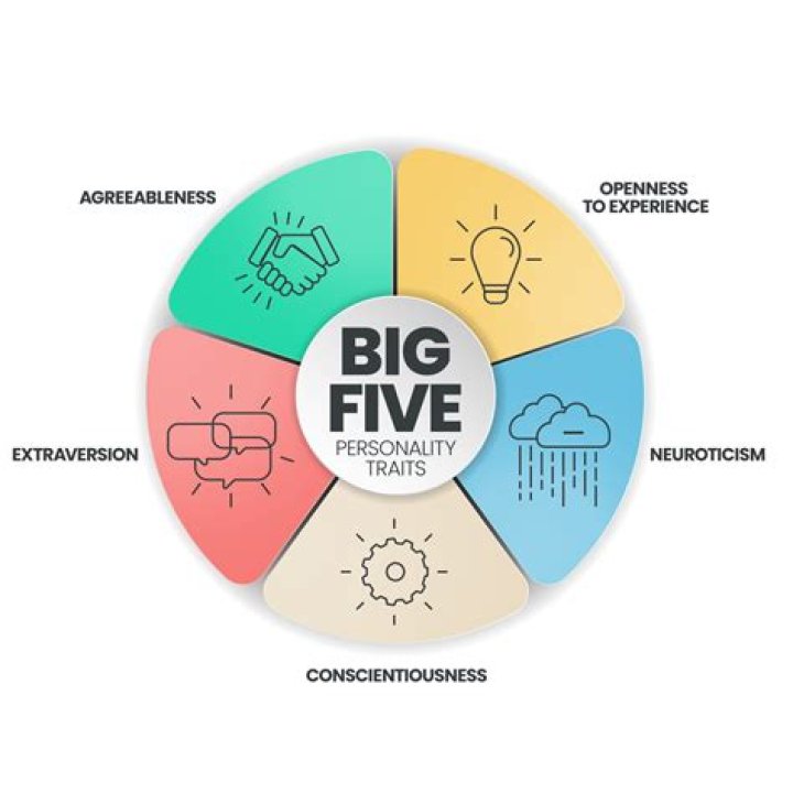 What are the five types of development?