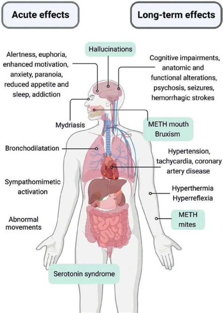 What are the long term effects of levothyroxine?