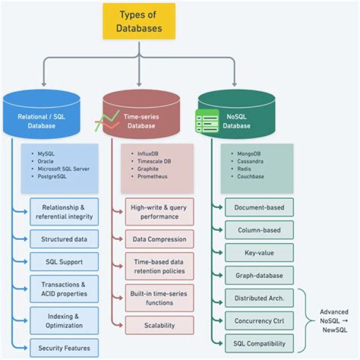 What are the three database levels?
