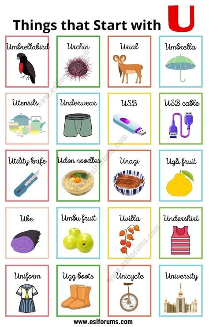 What are u like meaning?