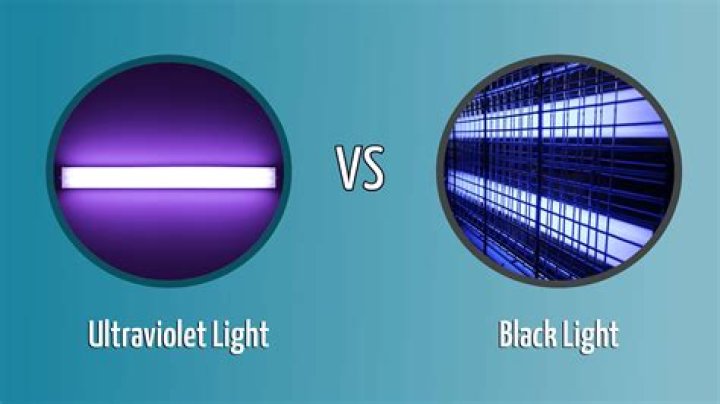 What can you do with a blacklight?