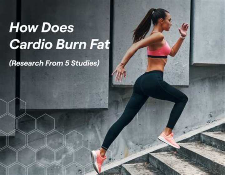 What cardio burns the most fat?