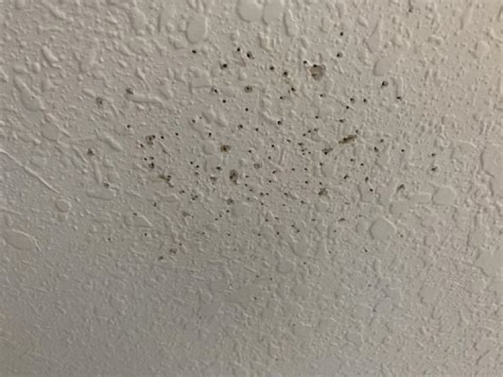 What causes tiny holes in ceiling?