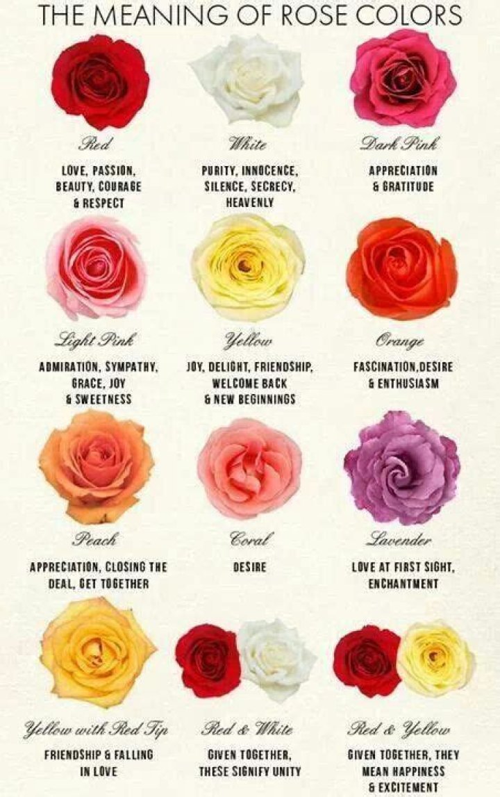 What color rose is for funeral?