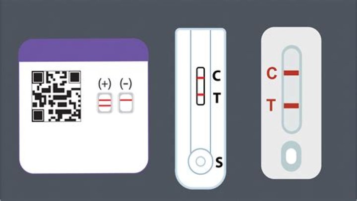 What could be the cause of a false negative COVID-19 antibody test result?