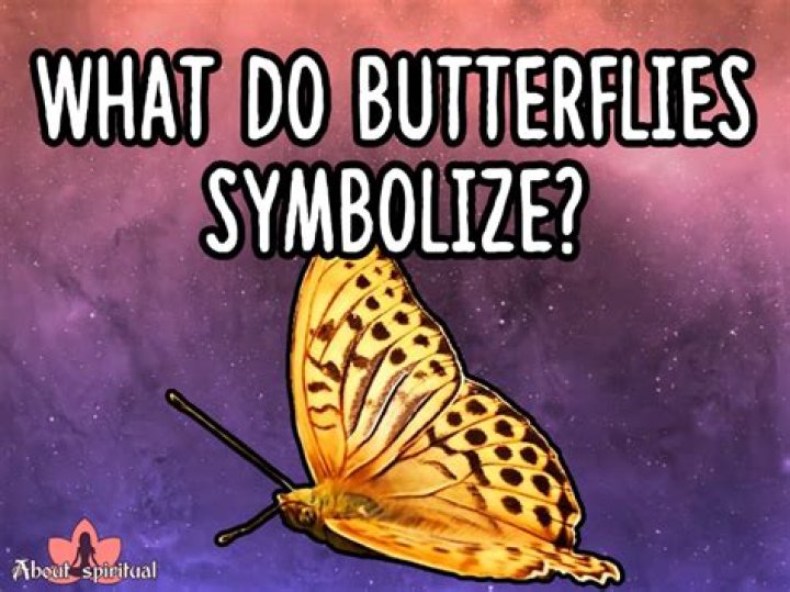 What do butterflies symbolize?