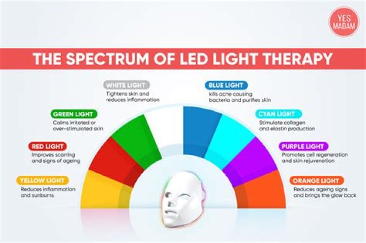 What does each LED light color mean?