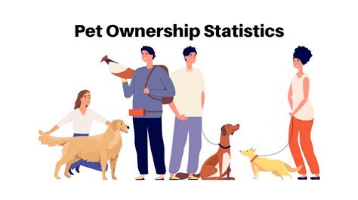 What does it mean to be a pet owner?