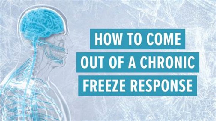 What does the freeze trauma response look like?