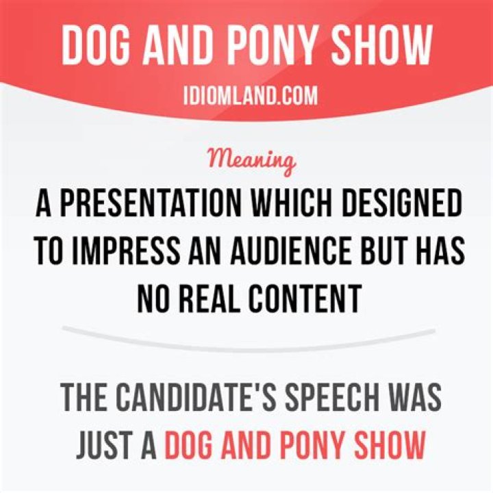 What does the slang pony mean?