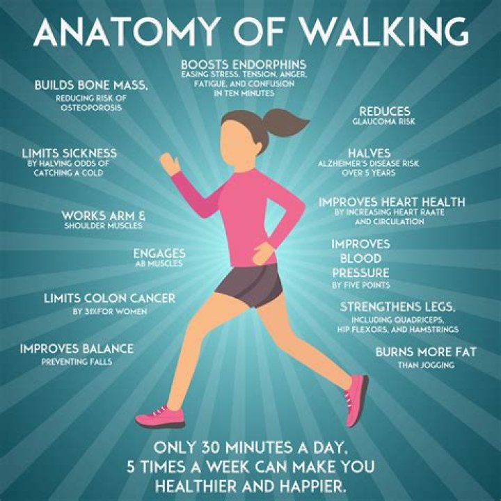 What does walking do for your stomach?