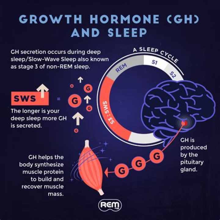 What hormone triggers sleep?