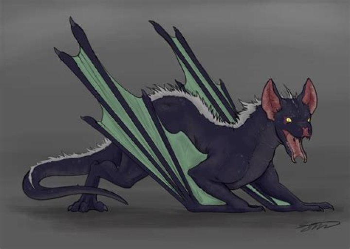 What is a bat dragon?