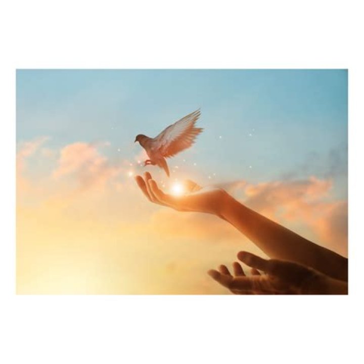 What is a symbol for hope?