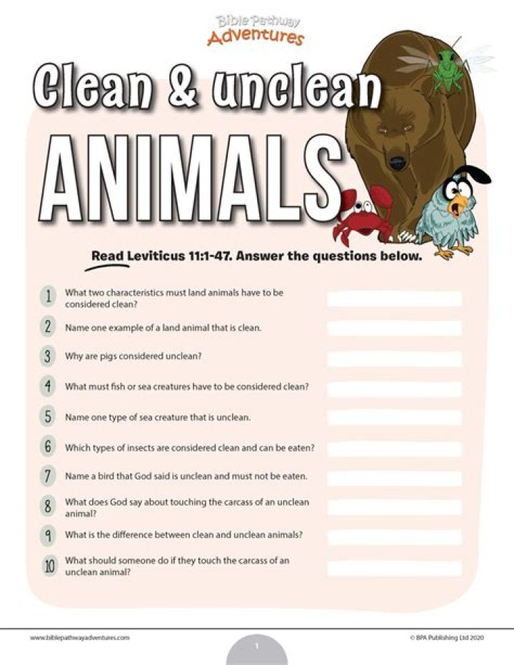 What is clean animals in the Bible?