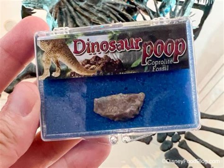 What is dinosaur poop worth?