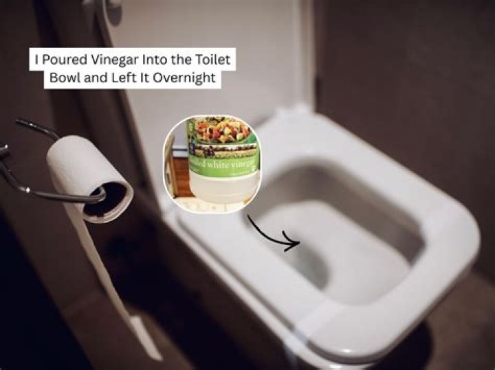 What is growing in my toilet bowl?