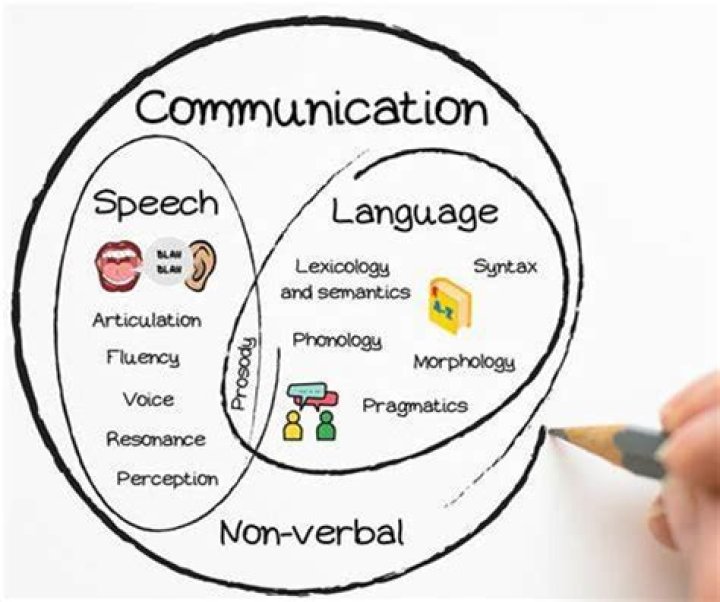 What is language as communication?