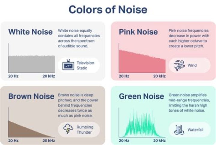 What is making noise at night?