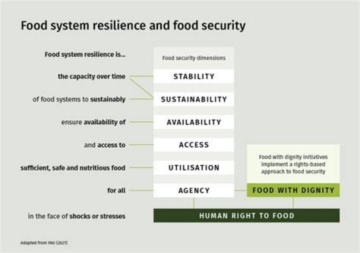 What is right to food security?