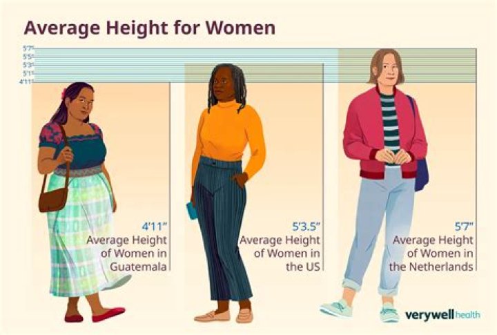 What is the average female height?