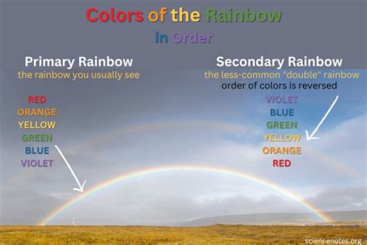 What is the Colour of BTS?